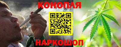 сатива Краснодар