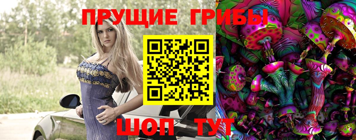 Псилоцибиновые грибы Psilocybine cubensis Бирск